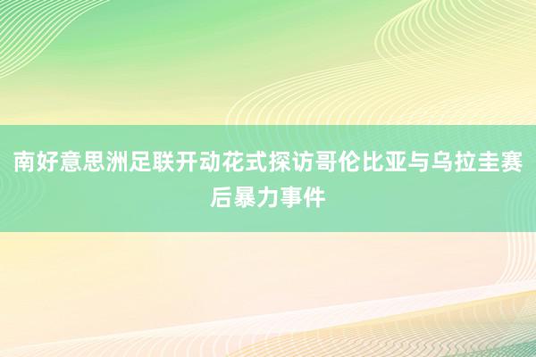 南好意思洲足联开动花式探访哥伦比亚与乌拉圭赛后暴力事件