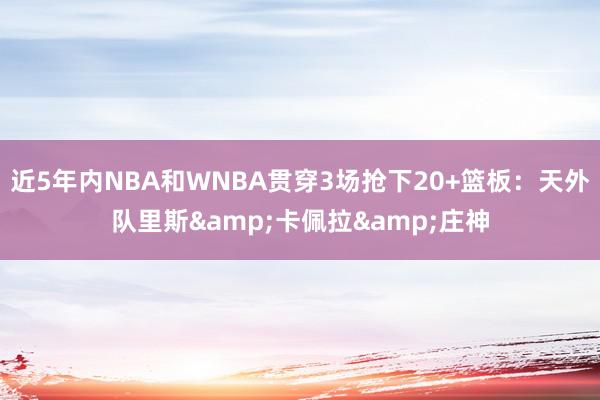 近5年内NBA和WNBA贯穿3场抢下20+篮板：天外队里斯&卡佩拉&庄神